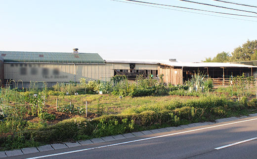 【豊田さん家の牛肉】切り落とし 1kgコース 亀山市/豊田畜産 牛肉 切り落とし 送料無料 [AMAL010]