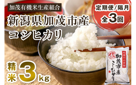 【令和6年産新米先行予約】【定期便3回隔月お届け】新潟県加茂市産コシヒカリ 精米 3kg 新潟県産 こしひかり コシヒカリ お米 白米 米 定期便 加茂有機米生産組合