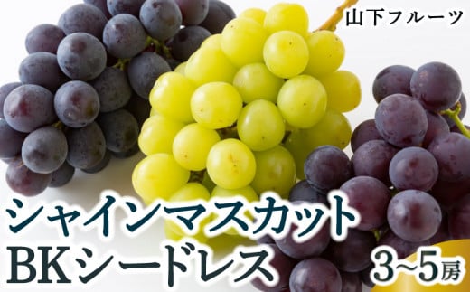 【先行予約】山下フルーツ シャインマスカットとBKシードレスの詰め合わせ 3房から5房 2025年8月中旬から9月中旬 出荷予定