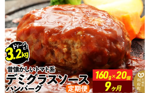 《定期便9ヶ月》ドドンと3.2kg！昔懐かしいトマト系デミグラスソースハンバーグ (160g×20個)×9回 肉 洋食 簡単 大容量 湯煎 湯せん 個包装