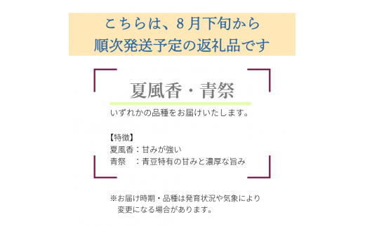 【先行受付】枝豆1kg　秋田県井川町産　８月下旬から順次発送