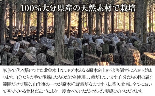 原木生椎茸 どんこ大 400g 以上と椎茸粉 30g セット 生しいたけ 乾しいたけ 干し椎茸 干ししいたけ 乾燥しいたけ 乾燥椎茸 大分県産 九州産 中津市 国産 送料無料／熨斗対応可 お歳暮 お中元 など