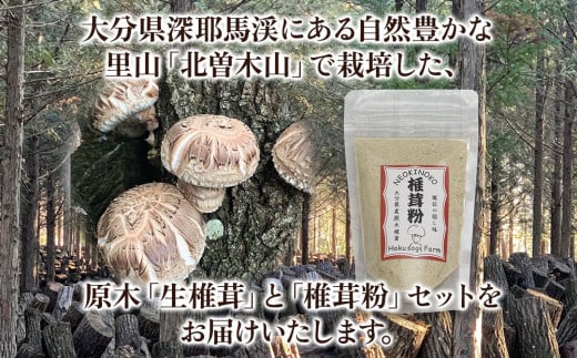 原木生椎茸 どんこ大 400g 以上と椎茸粉 30g セット 生しいたけ 乾しいたけ 干し椎茸 干ししいたけ 乾燥しいたけ 乾燥椎茸 大分県産 九州産 中津市 国産 送料無料／熨斗対応可 お歳暮 お中元 など