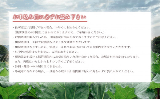 【25年発送先行予約】赤いルバーブ・フレッシュ 約2.2kg ※配送不可地域あり ルバーブ お届け：2025年6月頃～11月初旬 ★
