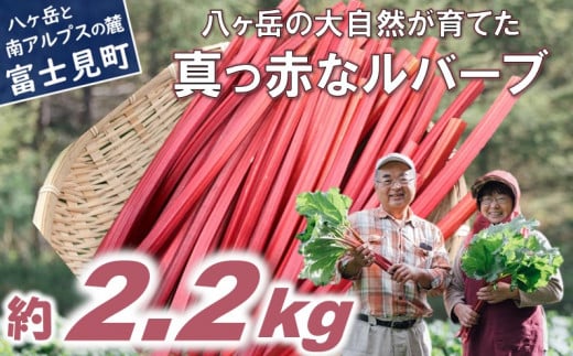 【25年発送先行予約】赤いルバーブ・フレッシュ 約2.2kg ※配送不可地域あり ルバーブ お届け：2025年6月頃～11月初旬 ★