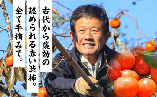 【業界誌 (料理通信) お宝食材コンテスト ベスト20選出】天然 酵母 柿酢 200ml×3本 / 南島原市 / 中邨 [SAG005]