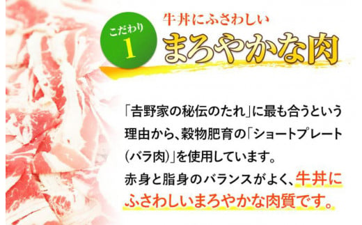 【定期便 ６ヶ月】吉野家 人気５種１０袋セット（冷凍）