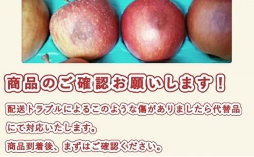 【2月発送】訳あり 家庭用 濃厚サンふじ 約3kg 糖度13度以上【青森りんご・マルコウアップル】