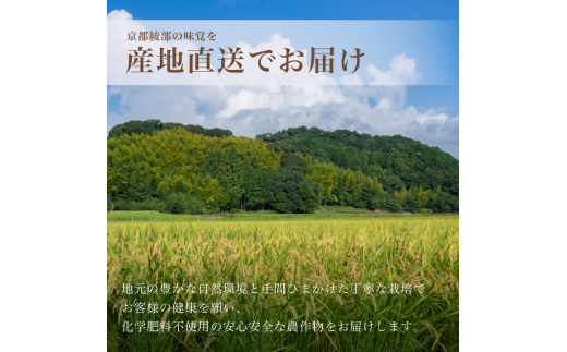 【令和6年産】新米 有機栽培コシヒカリ 精米 3kg 【 米 コシヒカリ こしひかり 3キロ 精米 白米 こめ コメ お米 おこめ 農家直送 有機 綾部 京都 森本ファーム 】