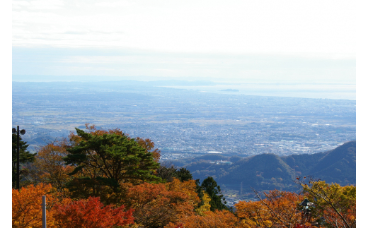 山荘なぎさ 大山豆腐料理を満喫！5名様宿泊券 [0245]