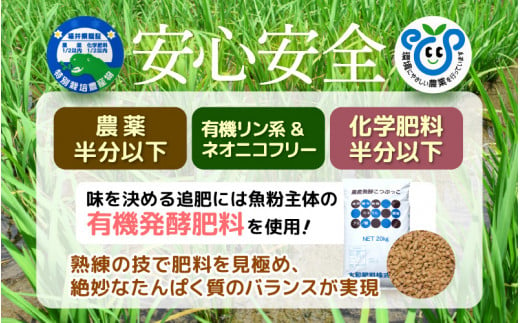 令和6年産 松原おんちゃん米 特別栽培米 コシヒカリ（玄米）30kg × 1袋[m26-b008]