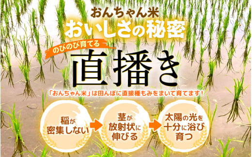 令和6年産 松原おんちゃん米 特別栽培米 コシヒカリ（玄米）30kg × 1袋[m26-b008]