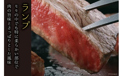 牛肉 ステーキ 宮崎牛 赤身 ステーキ用 130g ×3枚 計 390g [SHINGAKI 宮崎県 美郷町 31ag0057] 赤身 モモ ランプ ステーキ 冷凍 宮崎 ももブロック A4 A5