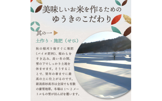 【2025年4月中旬発送】【令和6年産米】新潟県妙高産斐太の里コシヒカリ「旬」20kg(5kg×4袋)