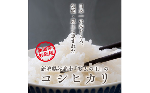 【2025年4月中旬発送】【令和6年産米】新潟県妙高産斐太の里コシヒカリ「旬」20kg(5kg×4袋)