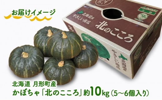 北海道 月形町産 かぼちゃ 北のこころ 5～6個 約10kg 1箱 南瓜 カボチャ 野菜 旬 ホクホク 甘い パンプキン ハロウィン お取り寄せ 自家用 煮物 天ぷら 産地直送 月形農業協同組合 送料無料 月形 [№5783-0320]