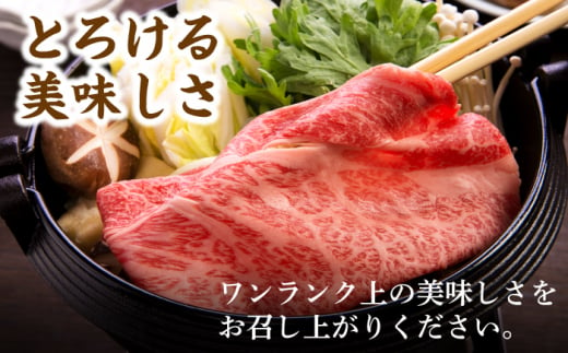 【日本一の和牛】長崎和牛 出島ばらいろ すき焼き用 特選 ロース肉 特盛 700g 小分け 【合同会社　肉のマルシン】 [RCI006]