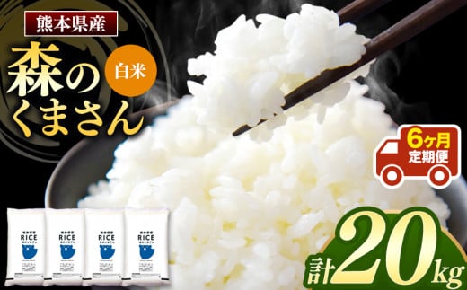 令和6年産   【定期便6回】 熊本県産 森のくまさん 白米 20kg | 小分け 5kg × 4袋  熊本県産 こめ 米 白米 ごはん 銘柄米 ブランド米 単一米 人気 日本遺産 菊池川流域 こめ作り ごはん ふるさと納税 返礼品