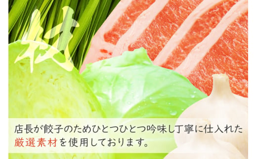 冷凍餃子16人前（計約3440g）ギョーザ ぎょうざ 中華 野菜たっぷり モチモチ 食べ応え 群馬県