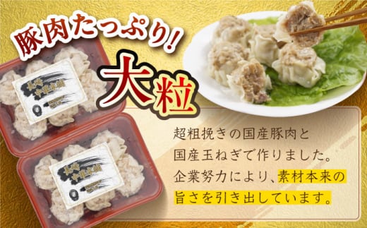 豚まん2個×6P・焼売6個×9Pセット 長崎県/九州特産品販売 [42AVAC007]