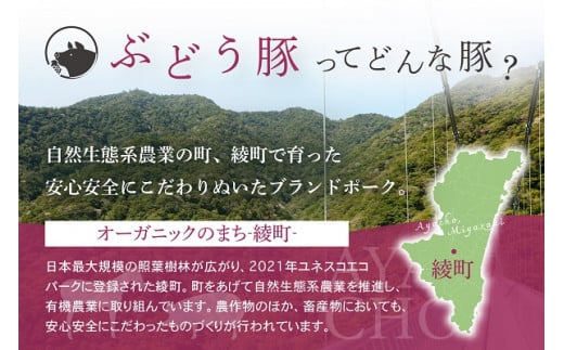 国産 豚肉 ブランド 豚 綾ぶどう豚 よりどり 詰め合わせ 3か月 定期便 セット 指定月 中旬 お届け ロース スライス 生姜焼き バラ 焼肉 小間切れ モモ スライス ミンチ しゃぶしゃぶ（22-36）