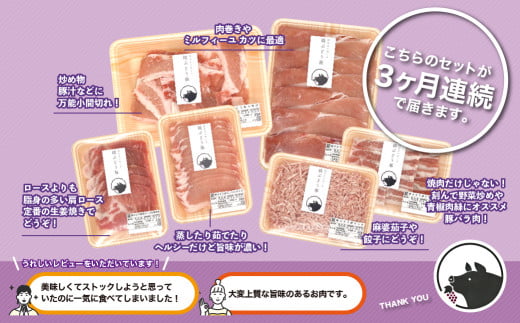 国産 豚肉 ブランド 豚 綾ぶどう豚 よりどり 詰め合わせ 3か月 定期便 セット 指定月 中旬 お届け ロース スライス 生姜焼き バラ 焼肉 小間切れ モモ スライス ミンチ しゃぶしゃぶ（22-36）