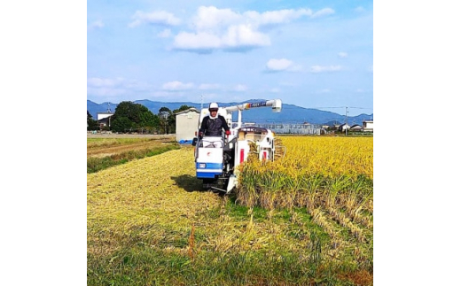 栽培期間中農薬・肥料不使用で作った朝日米　玄米20kg【1385882】