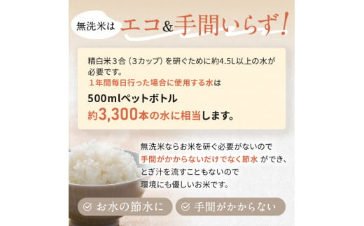 信州米 こしひかり 無洗米 5kg 長野県産 | 米 コシヒカリ 無洗米 精米 お米 信州米  5kg × 1袋 合計5kg 特産品 千曲市 長野県 信州