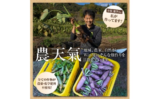 ◆◆2024年度収穫分先行予約◆◆「農家 農天氣がおくる」山梨県上野原市産 里芋 約5kg