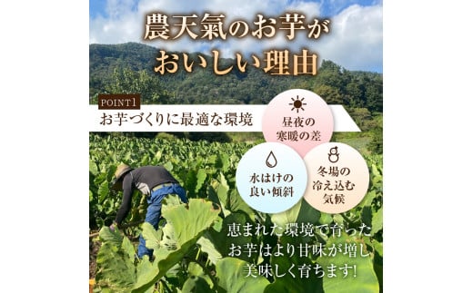 ◆◆2024年度収穫分先行予約◆◆「農家 農天氣がおくる」山梨県上野原市産 里芋 約5kg