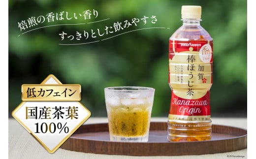 お茶 ペットボトル 加賀 棒ほうじ茶 525ml 24本 2箱 計48本 [油谷製茶 石川県 宝達志水町 38601018] ほうじ茶 おちゃ 茶 ちゃ ２４本 500ml 以上 飲料 ドリンク ソフトドリンク 常温 保存 備蓄 常備品 災害 非常用