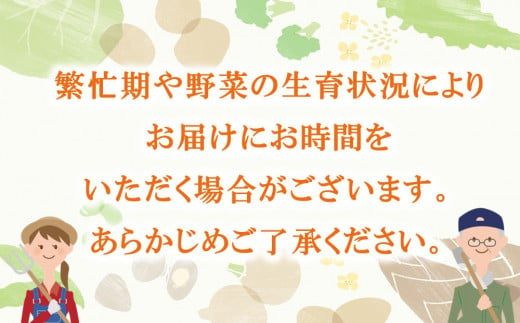 里山で採れた野菜セットショート 8品 【有機野菜 おまかせ野菜セット イタリア野菜 西洋野菜】(H078101)