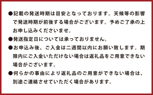 環境マイスターの不知火 訳あり 10kg