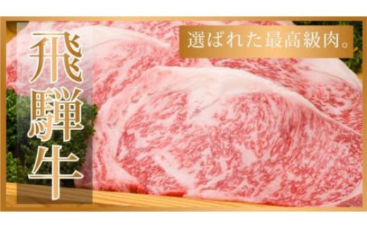 飛騨牛ヒレステーキ　約340g（2～3枚）【冷凍】ブランド牛 牛肉 国産 下呂温泉 赤身 和牛 赤身 ひれ ステーキ 天狗 ヒレ 牛 飛騨牛 