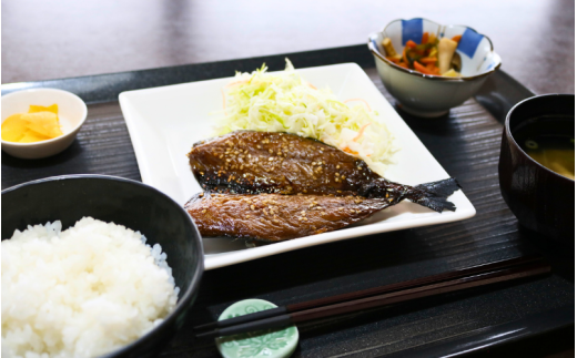 田後漁港特産 干物・いかの麹漬け ８個セット 【24034】鳥取 岩美 日本海 ひもの 麹漬け さばみりん かれい 詰合せ セット