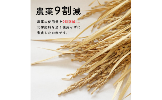 農薬9割減 ・ 化学肥料不使用 ヒノヒカリ(玄米)  2kg ｜ 有機農産物認証推進協会認定 玄米 お米 米 ひのひかり 農薬減 美祢市 山口県 秋芳 カルスト台地 湧き水 ミネラル 結び家 くらとも