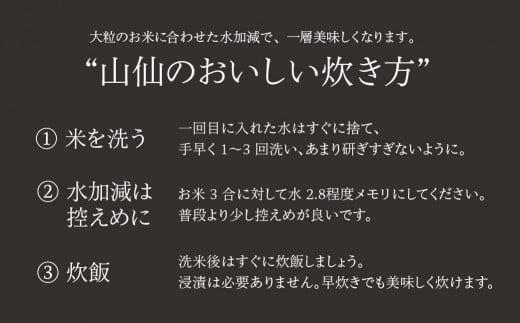 令和6年産米【定期便】山仙（いのちの壱）2kg×3回 すがたらいす 下呂市金山産 2024年産 毎月 2キロ×3カ月 お米 精米 下呂温泉 下呂市 米 ブランド米