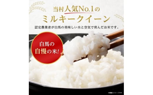 令和6年産新米＞白馬産ミルキークイーン10kg_ 米 こめ コメ ミルキークイーン 白米 ごはん ご飯 国産 長野県 白馬村 精米 精白米 長野県産  産地直送 産直 ふっくら もっちり お米 おこめ 10kg 銘柄 品種 【1490021】 | 長野県白馬村 | KABU&ふるさと納税 |  株がもらえる ...