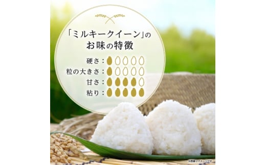 令和6年産新米＞白馬産ミルキークイーン10kg_ 米 こめ コメ ミルキークイーン 白米 ごはん ご飯 国産 長野県 白馬村 精米 精白米 長野県産  産地直送 産直 ふっくら もっちり お米 おこめ 10kg 銘柄 品種 【1490021】 | 長野県白馬村 | KABU&ふるさと納税 |  株がもらえる ...