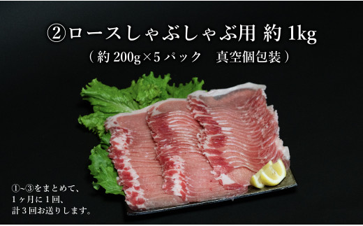 【3回定期便 総計12.6kg】 ありたぶた 3種 しゃぶしゃぶセット 計4.2kg 小分け 真空パック 豚肉 モモ もも ロース バラ しゃぶしゃぶ 赤身 切り落とし N90-3