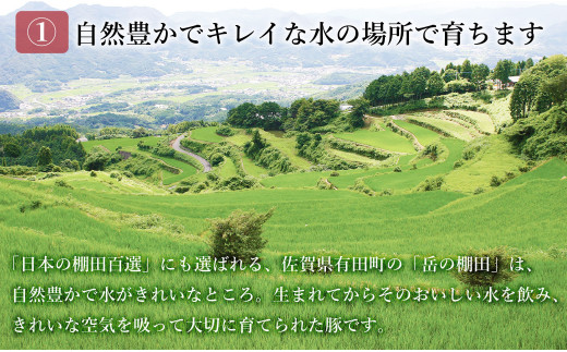 【3回定期便 総計12.6kg】 ありたぶた 3種 しゃぶしゃぶセット 計4.2kg 小分け 真空パック 豚肉 モモ もも ロース バラ しゃぶしゃぶ 赤身 切り落とし N90-3