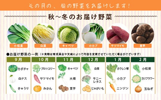 No.214 今が旬！お野菜の詰め合わせセット ／ 新鮮 季節の野菜 おまかせ たっぷり 愛知県 特産品