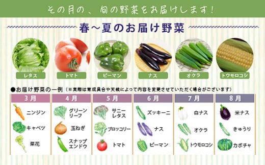 No.214 今が旬！お野菜の詰め合わせセット ／ 新鮮 季節の野菜 おまかせ たっぷり 愛知県 特産品