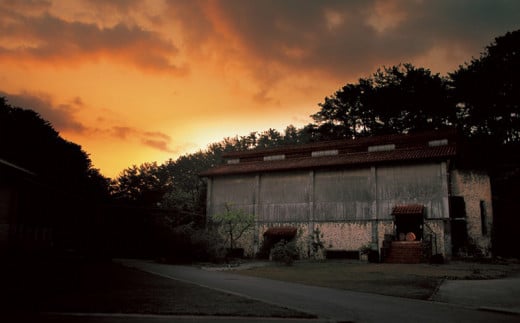 ヘリオス酒造　琉球泡盛　甕熟成八年古酒「大琉球國(だいりゅうきゅうこく)」43度720ml【化粧箱入り】