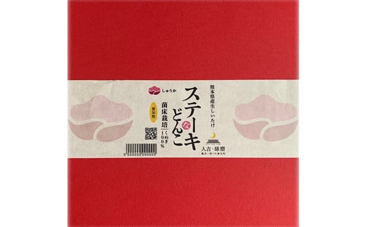 【2024年11月～順次発送】熊本県あさぎり町産 生しいたけ 特大サイズ約1kg(約12個前後)