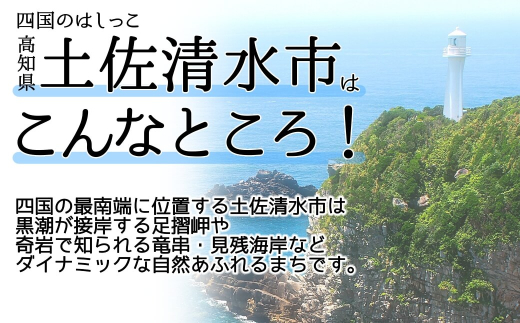 ちょっとの財布（刺繍糸カラー・開く向きが選べる）さいふ サイフ 革小物 革製品 レザー シカ革 鹿革 小物 レザークラフト ウォレット お洒落 ギフト プレゼント 鞣し コインケース【R01110】