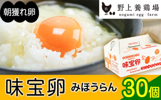 朝獲れ卵 味宝卵 (30個) 卵 Lサイズ 鶏卵《90日以内に出荷予定(土日祝除く)》