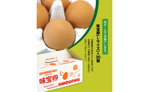 朝獲れ卵 味宝卵 (30個) 卵 Lサイズ 鶏卵《90日以内に出荷予定(土日祝除く)》