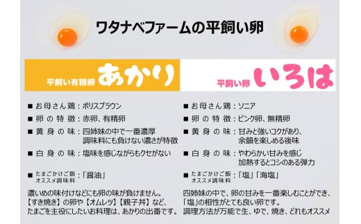 [平飼い卵食べ比べ合計30個×3か月連続定期便] 平飼い有精卵あかり・平飼い卵いろは 各15個｜矢板市産 こだわり卵 たまご 玉子 生卵 鶏卵 [0435]