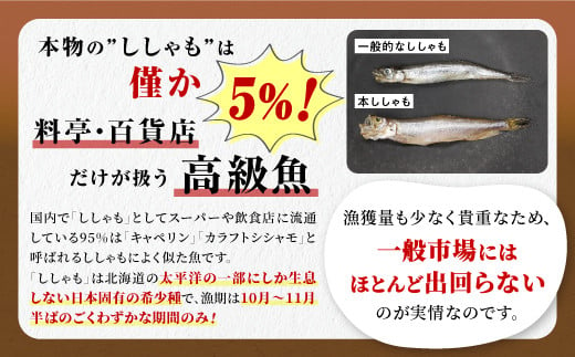 しらぬか産 本ししゃも 30尾 オスメス 各15尾 ししゃも シシャモ 子持ちししゃも 卵 魚卵 魚 魚介 国産 北海道 北海道産 ふるさと納税